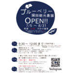 ブルーベリー狩り関東東京シバブルsibaburuしばぶる
