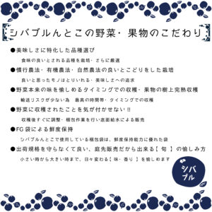 シバブル　収穫体験　梅　