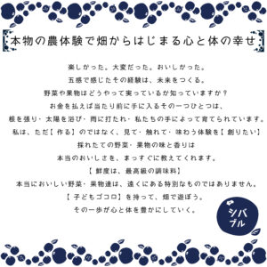 シバブル　収穫体験　梅　